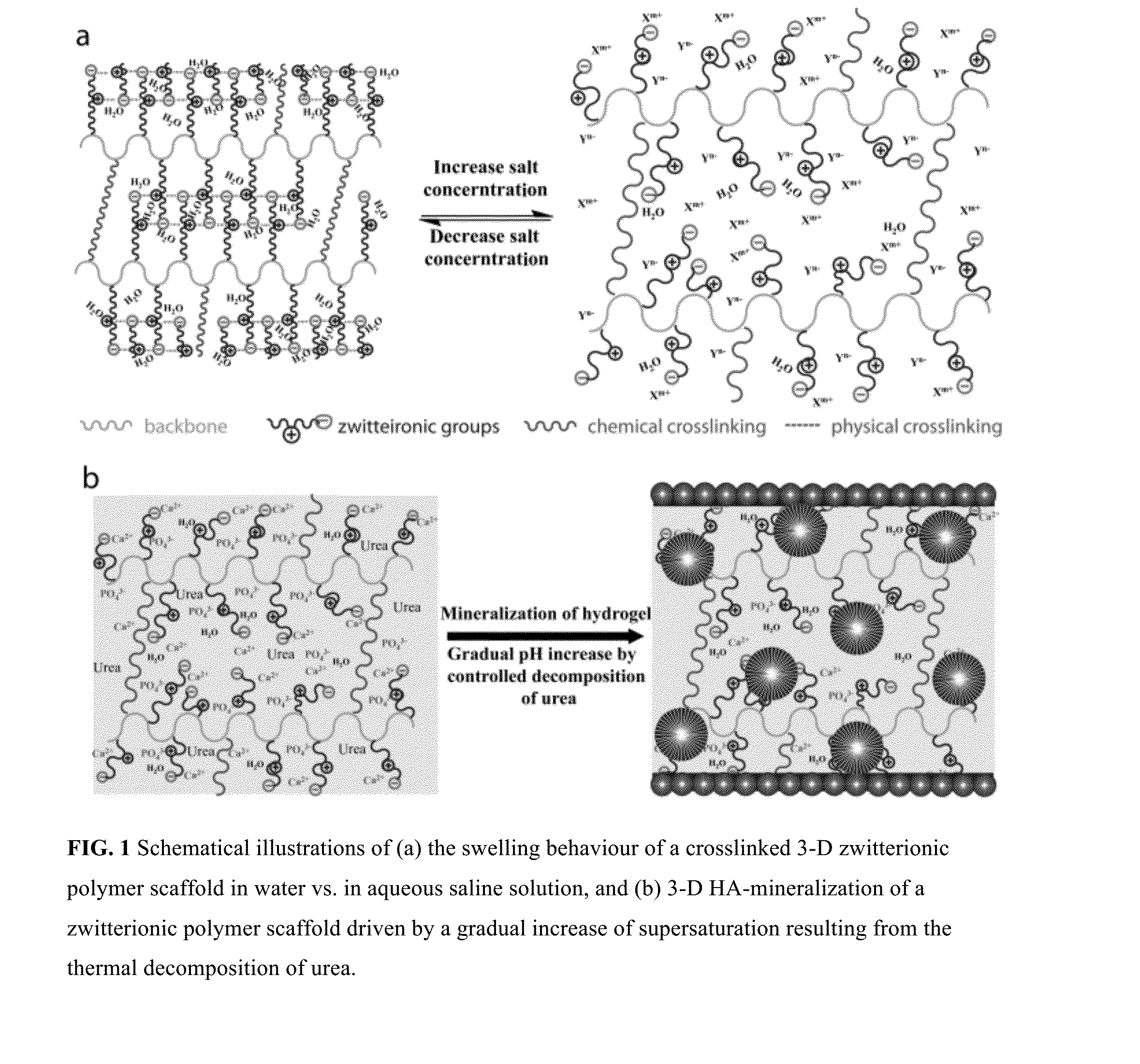 Compositions and methods for templating three-dimensional mineralization