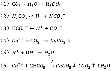 A kind of advanced treatment method of epichlorohydrin waste water