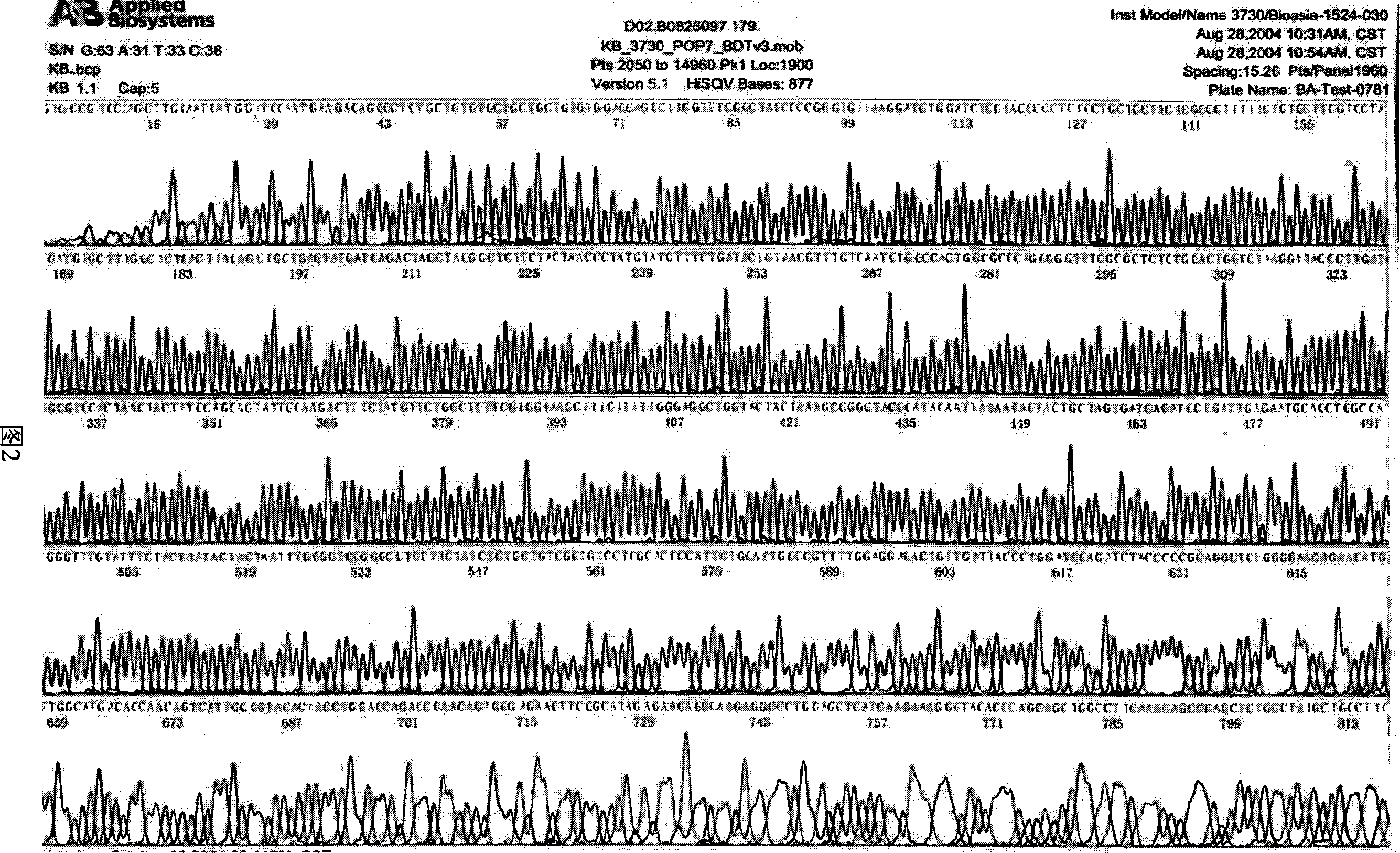 Recombined hepatitis E hepatitis virus protein, preparation method and usage thereof