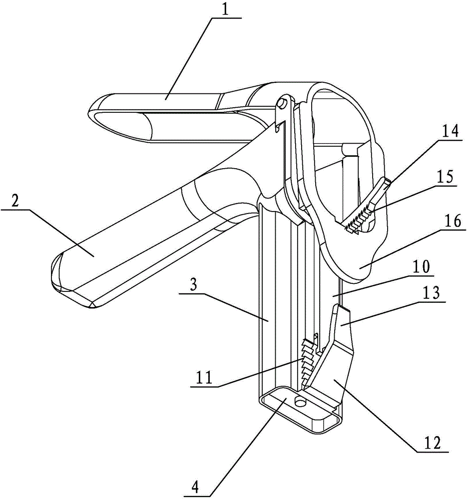 Vaginal dilator with image collection function and image collection system based on vaginal dilator