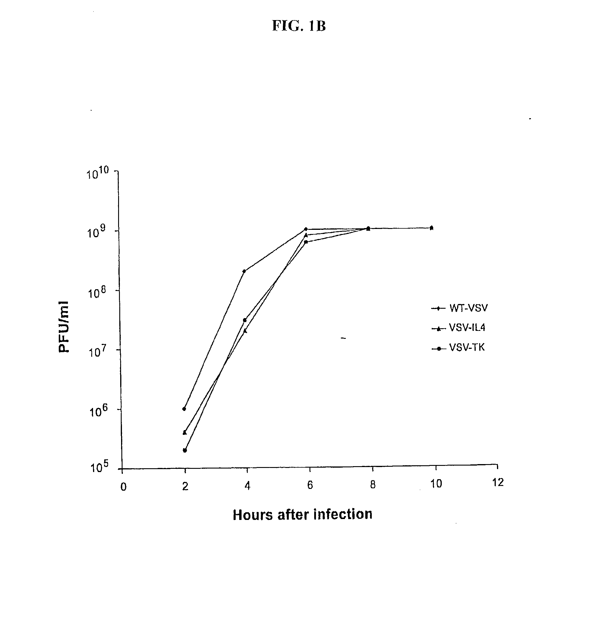 Recombinant VSV for the treatment of tumor cells