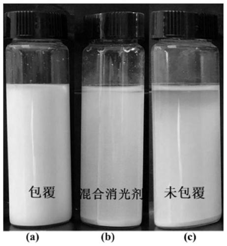 Modified titanium dioxide and preparation method and application thereof