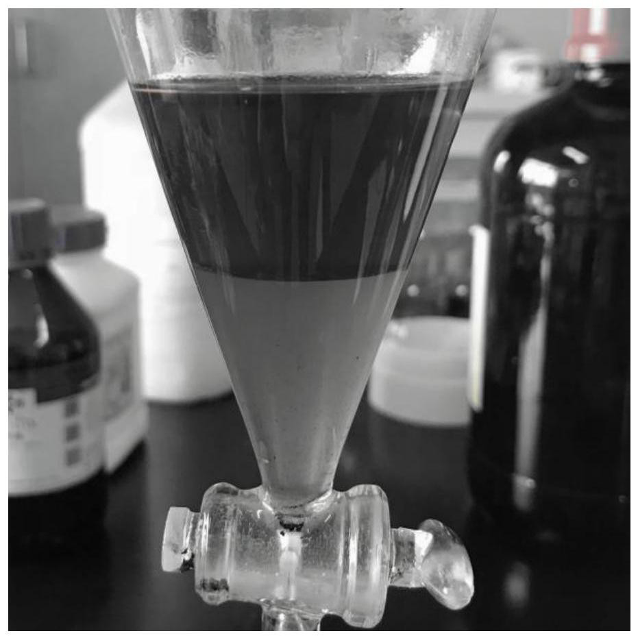 Method for synthesizing methyl methoxyacetate through carbonylation of formaldehyde