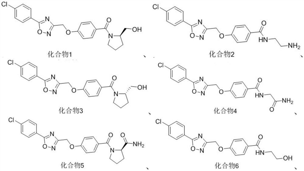 Five-membered heterocycle substituted benzamide compound as well as preparation method and application thereof