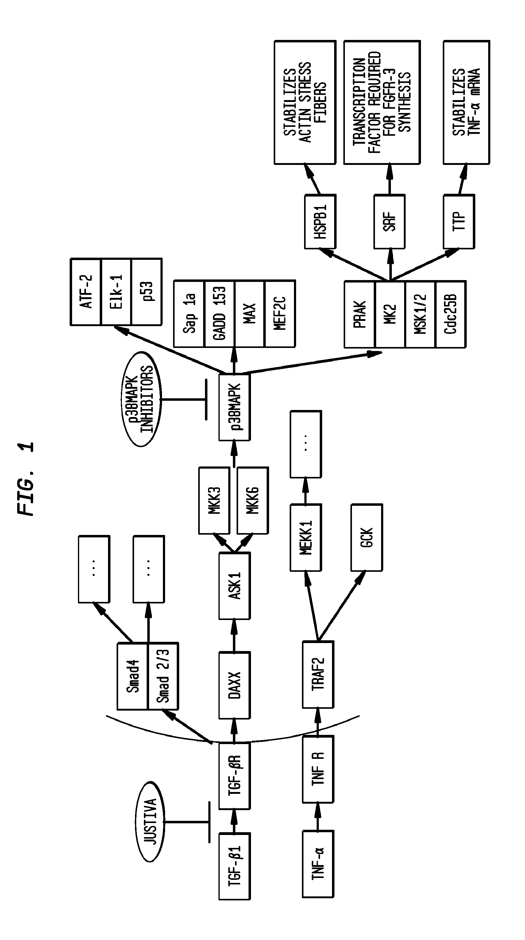 Methods for treating or preventing vascular graft failure