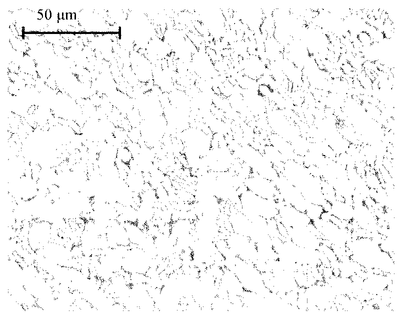 Rolling formation method of large and medium hollow titanium alloy disc-shaped forge piece