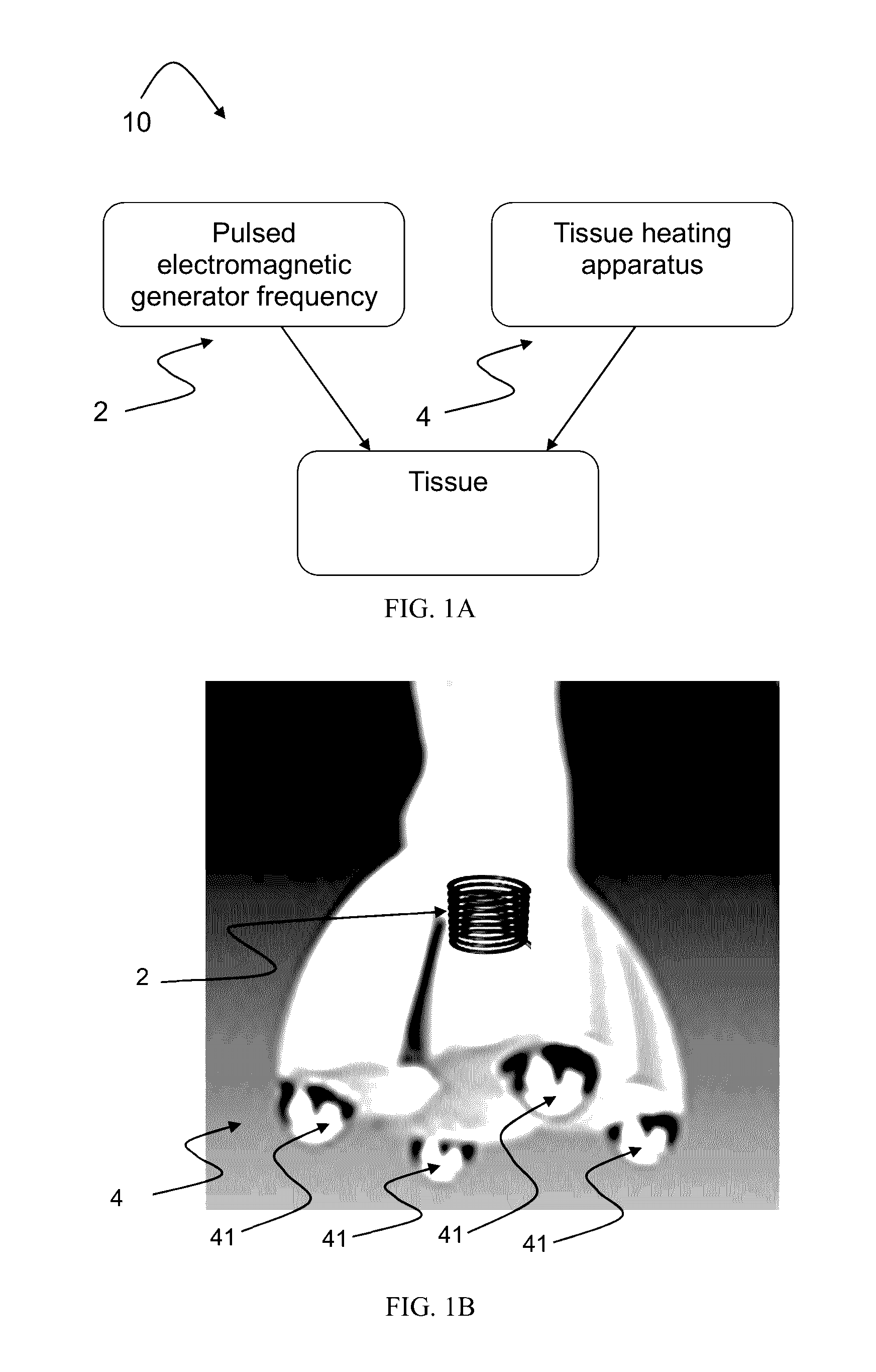 Esthetic apparatus useful for increasing skin rejuvenation and methods thereof