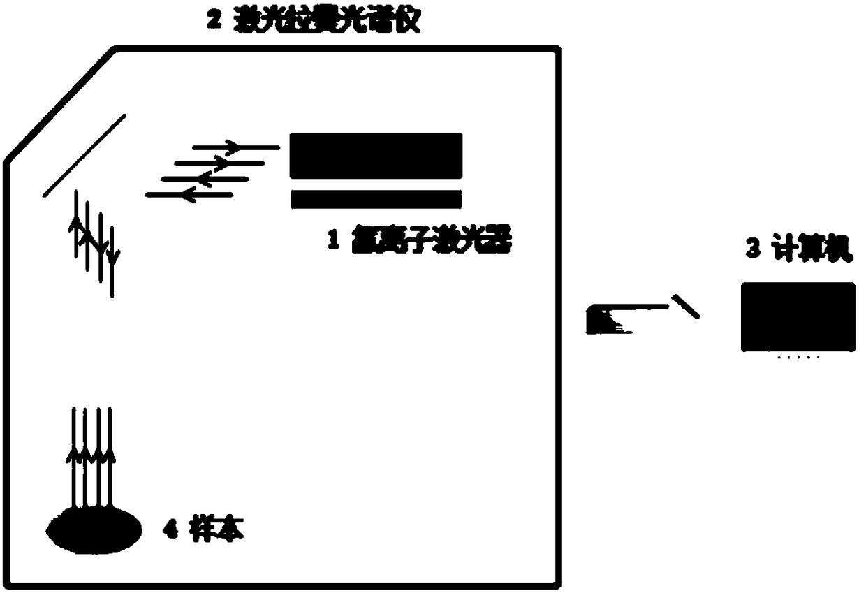 Echinococcosis serum Raman spectrum diagnostic apparatus based on optimal back-propagation neural network