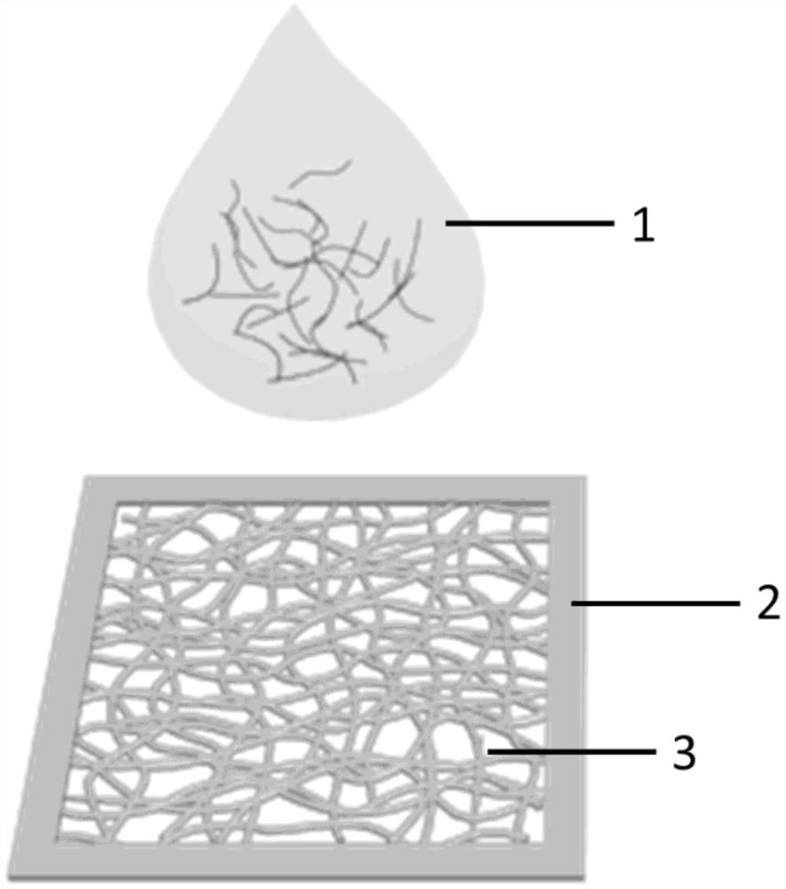 Breathable transparent flexible fiber-based epidermal electrode and preparation method thereof