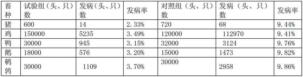 Chinese herbal medicine feed additive for preventing and curing colibacillosis