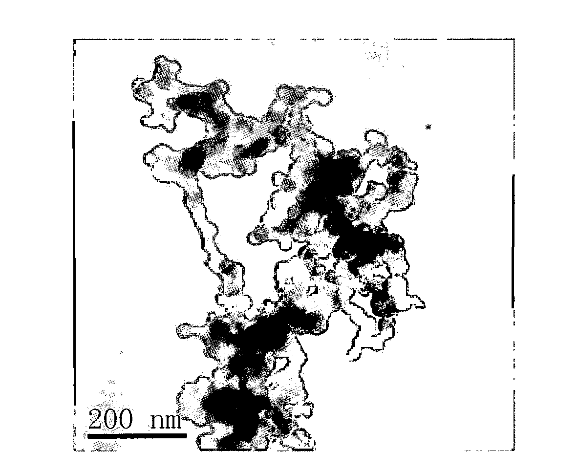 Method for preparing thiolated nano ferroferric oxide magnetic polymer composite material