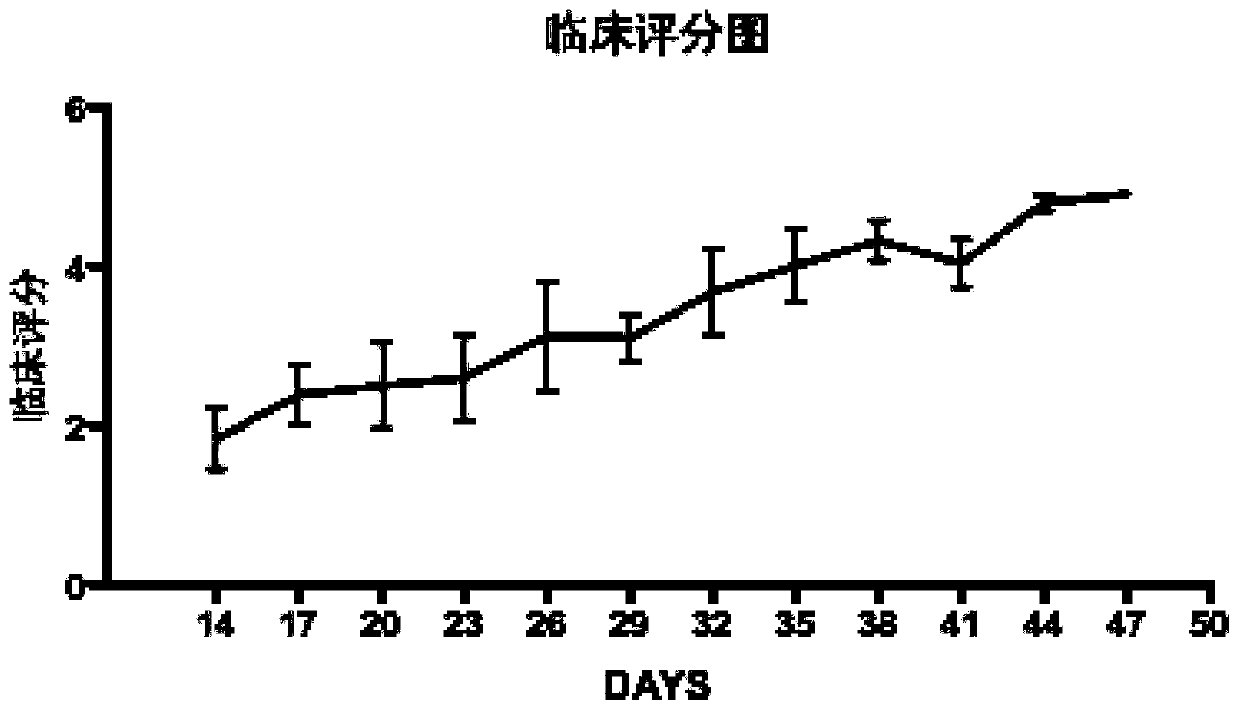 A kind of establishment method of C5AR gene knockout mouse cgvhd model