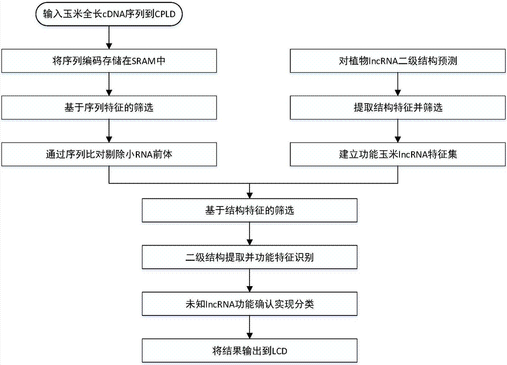 Corn lncRNA screening and classifying method based on ARM processor