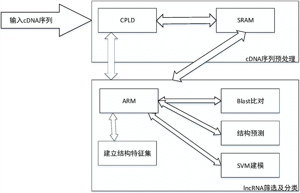 Corn lncRNA screening and classifying method based on ARM processor