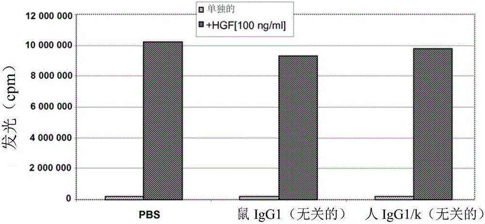 Novel anti-cmet antibody