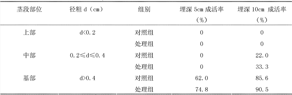 Method of utilizing stem section cuttage to reproduce apocynum venetum in alkali soil