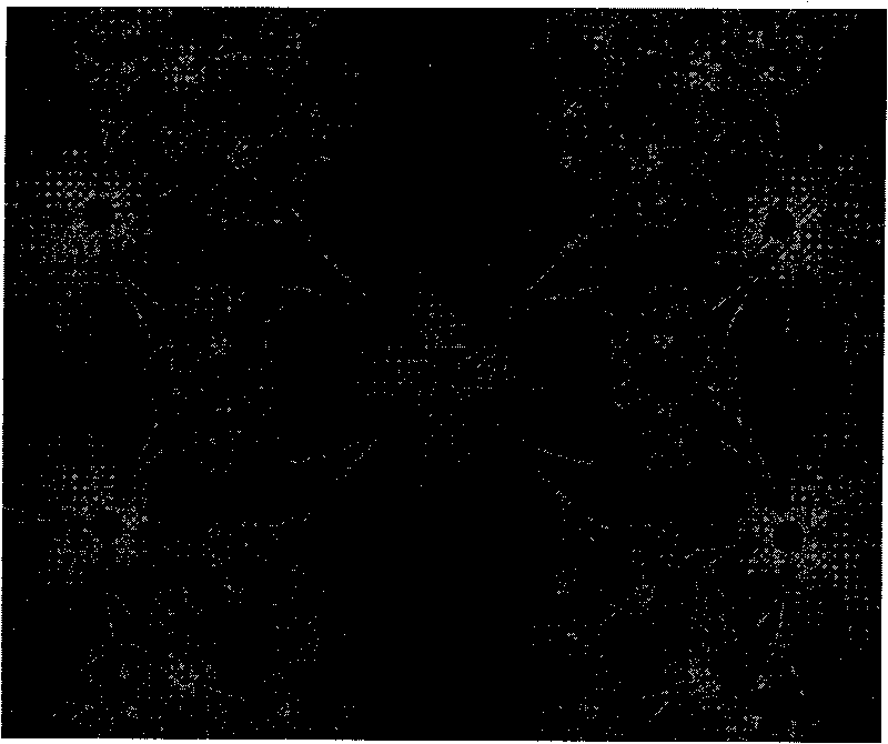 Anti-counterfeiting pattern manufacturing method using fractal pattern to overlap fractal curve