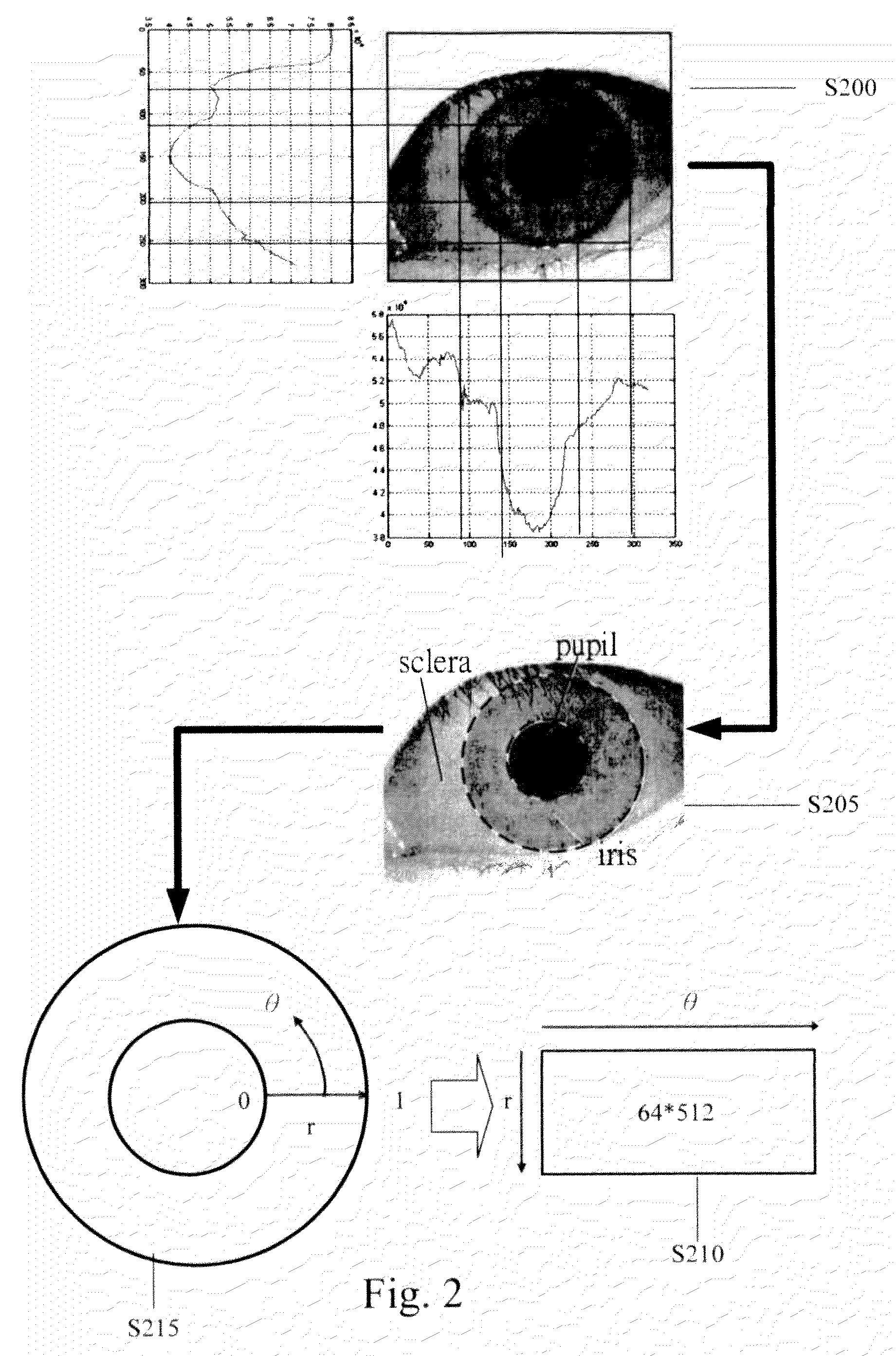 Iris recognition method utilizing matching pursuit algorithm