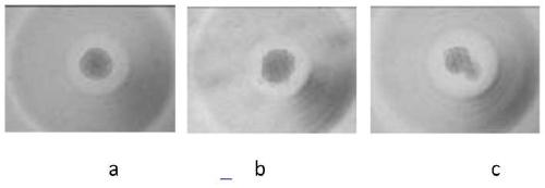 Culture medium and culture method for constructing liver tumor scaffoldless organoid