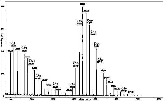 Cycloamylose preparation method based on starch debranching method