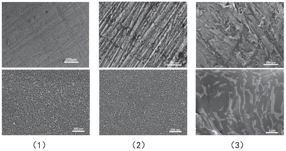 Technology for carrying out electrostatic coating on base of non-conductor