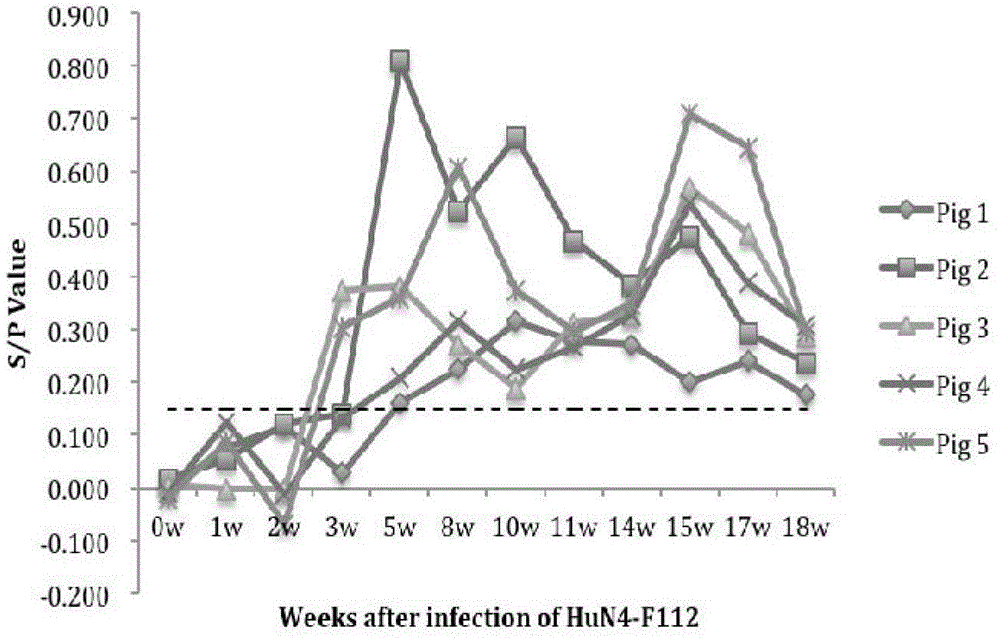 ELISA differential diagnosis kit, method and application of prrsv gene marker vaccine strain