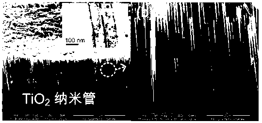 Preparation method of fluoride-free single-crystal TiO2 nanometer thin film