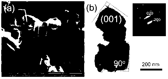 Preparation method of fluoride-free single-crystal TiO2 nanometer thin film