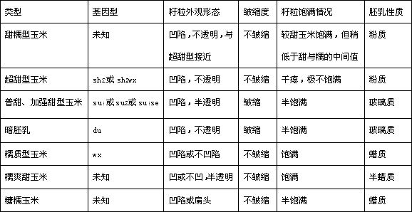 Novel sweet-waxy corn and utilization method thereof