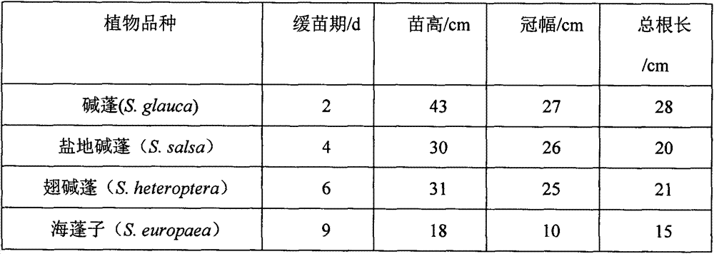 Method for manufacturing artificial floating bed of suaeda plants