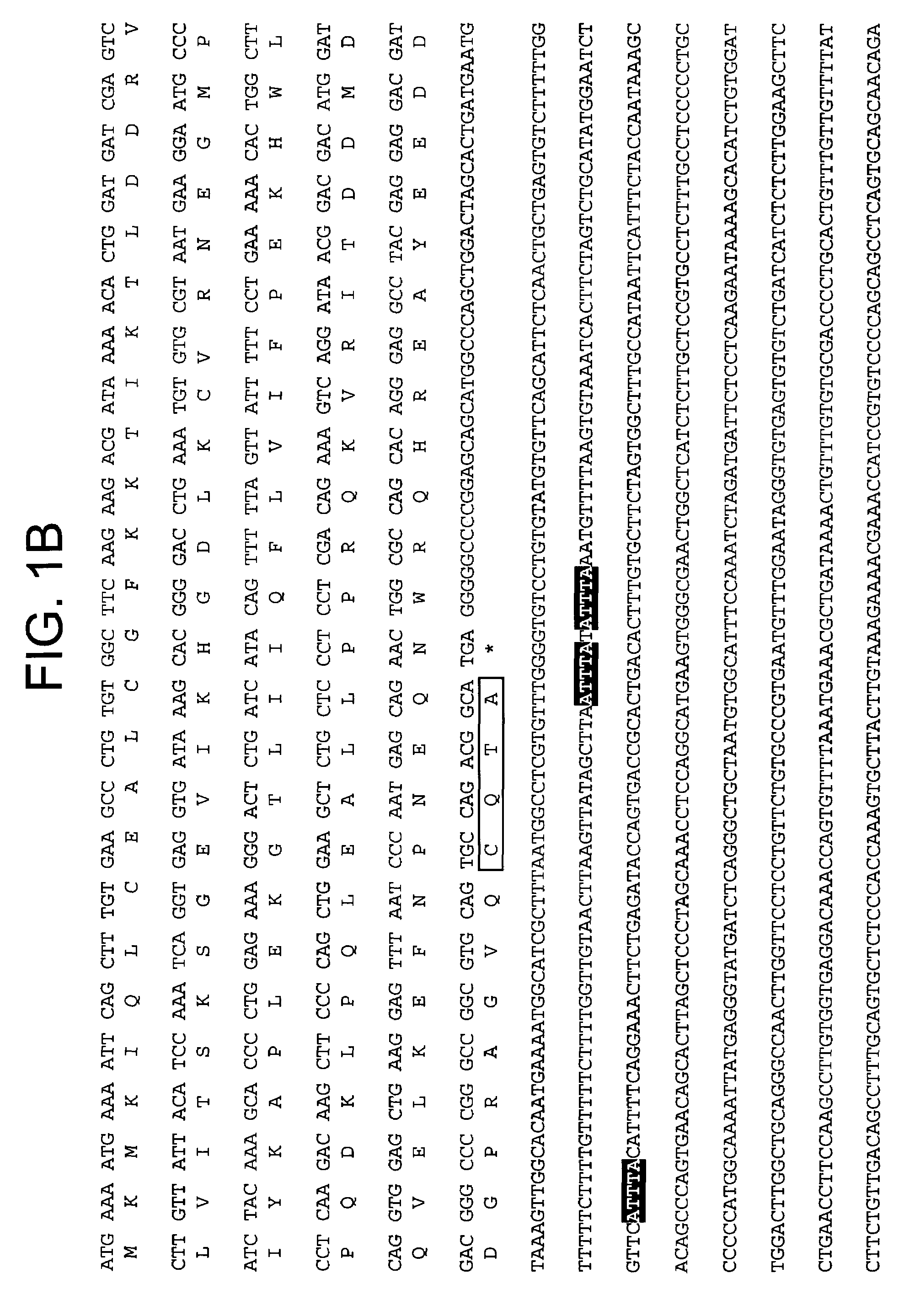 pDJA1, a cardiac specific gene, corresponding proteins, and uses thereof