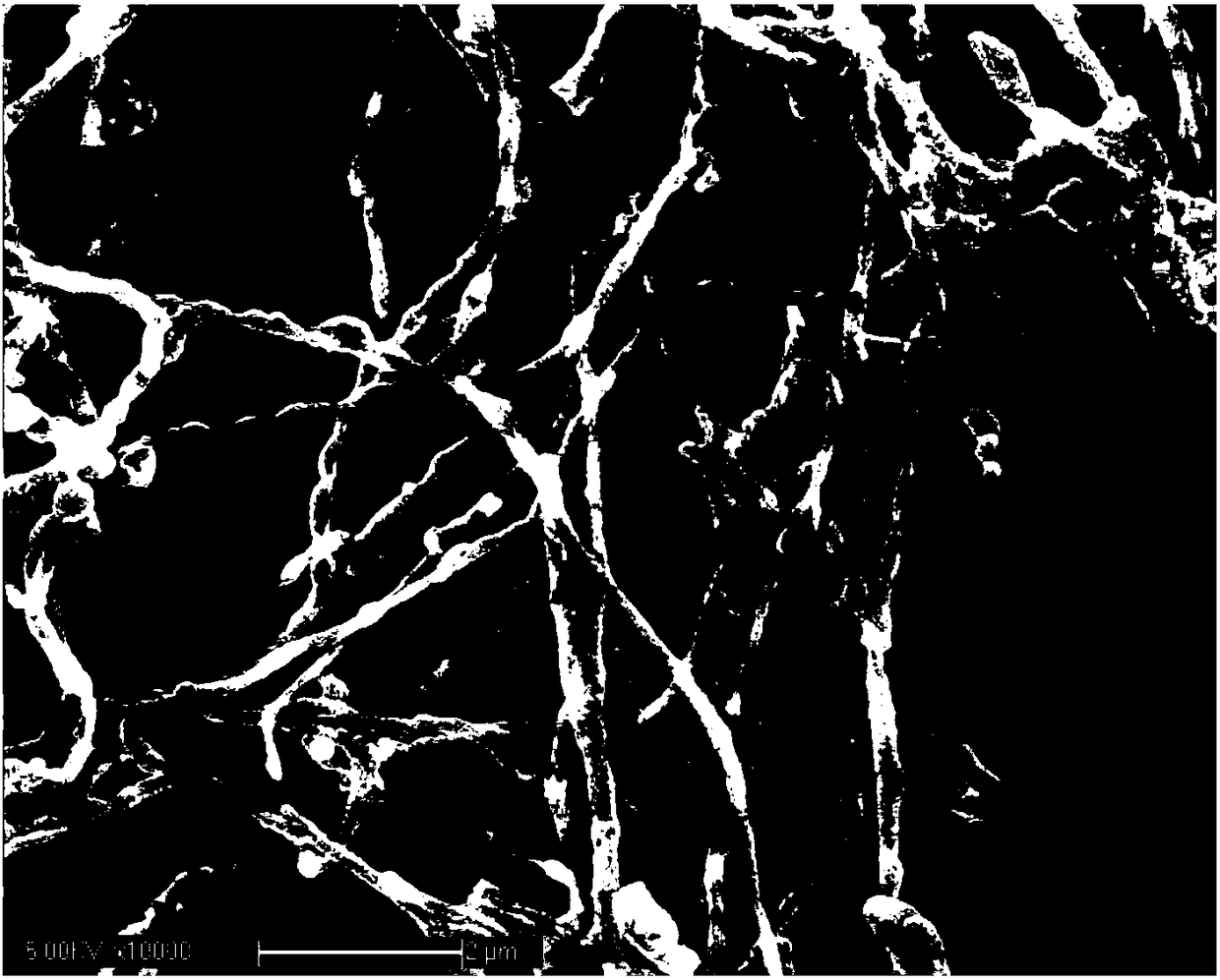 Explosive material nanowire and preparation method thereof