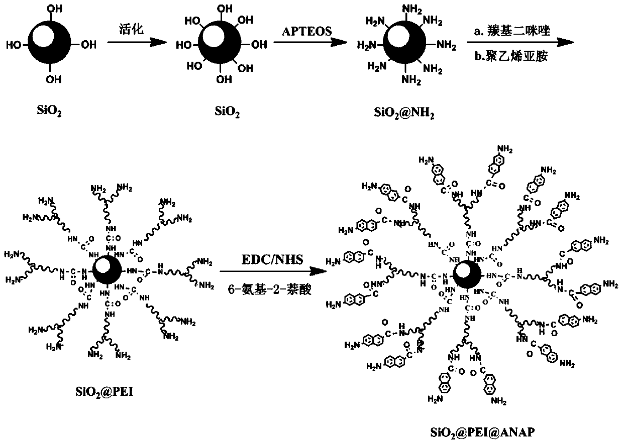 Preparation method and using method of novel material for treating phenol-containing wastewater