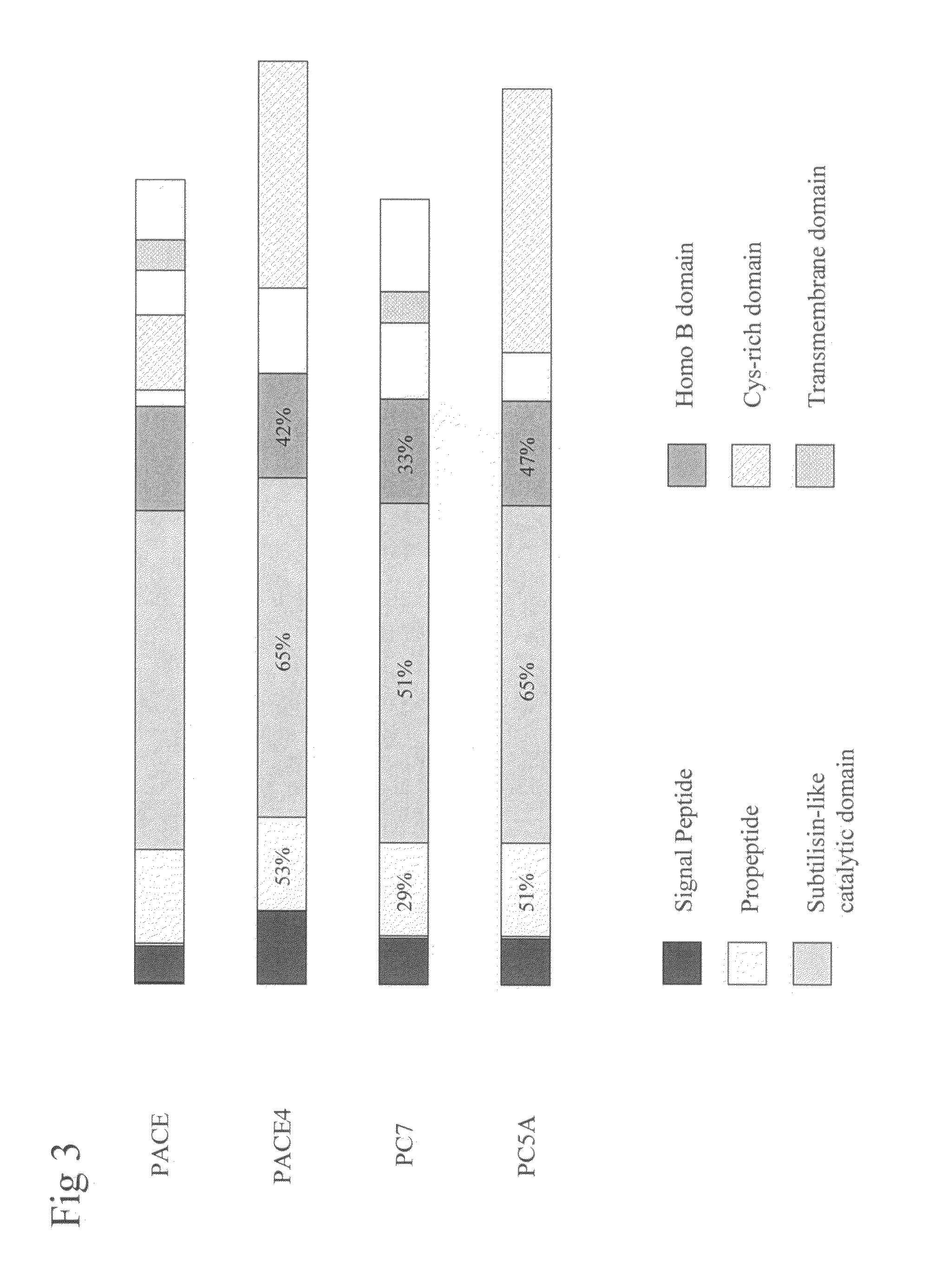 PC5 as a factor IX propeptide processing enzyme