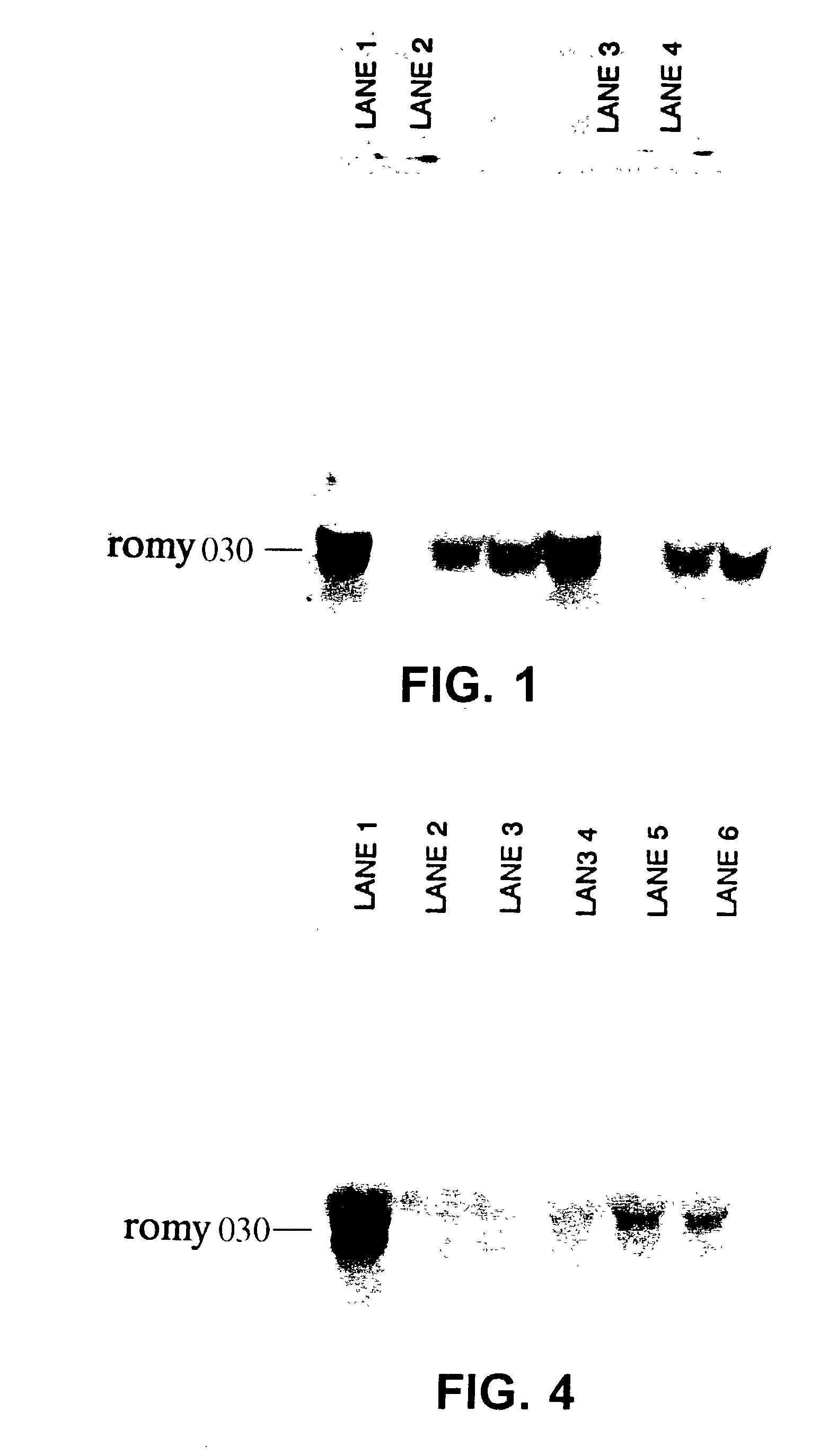 Compositions and methods for the diagnosis, prevention and treatment of tumor progression