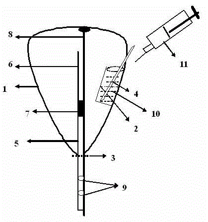 Using method of plant grafting and seeding cap bag