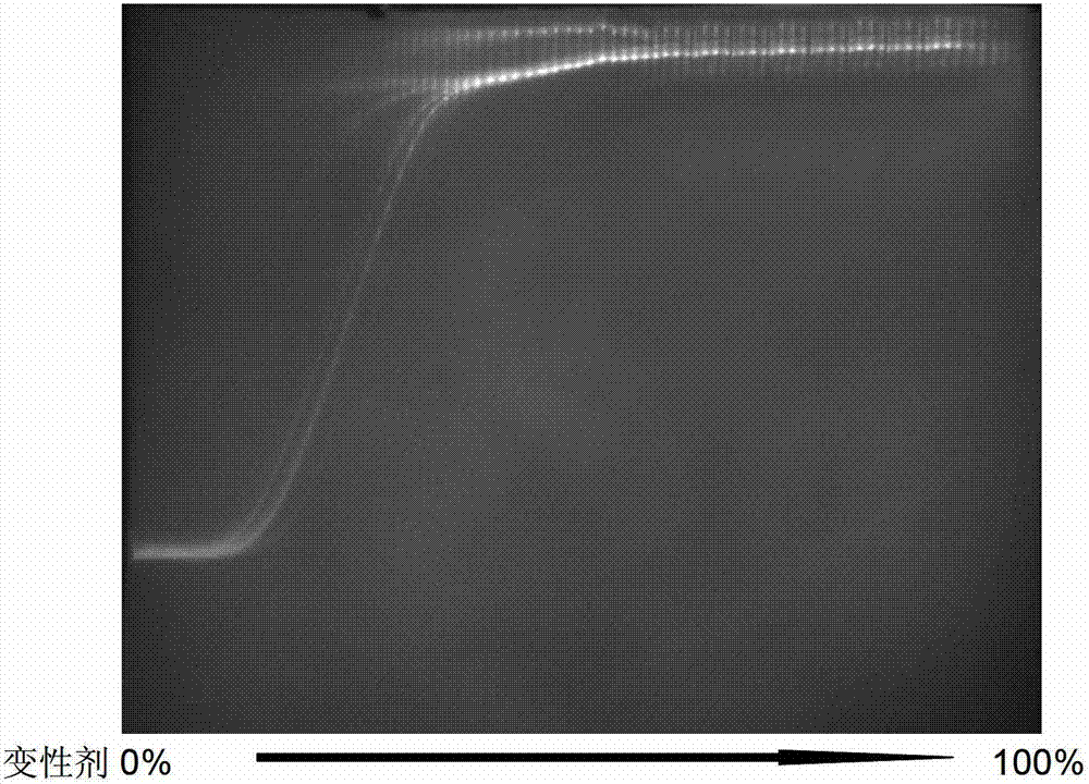 Method for quickly detecting main genetype of enterovirus in water environment