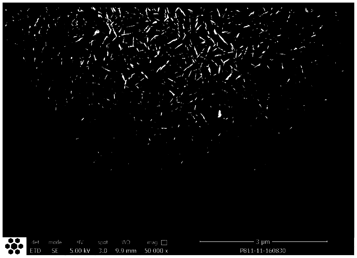 A kind of high-nickel-type nickel-cobalt lithium manganese oxide precursor with specific morphology and preparation method thereof