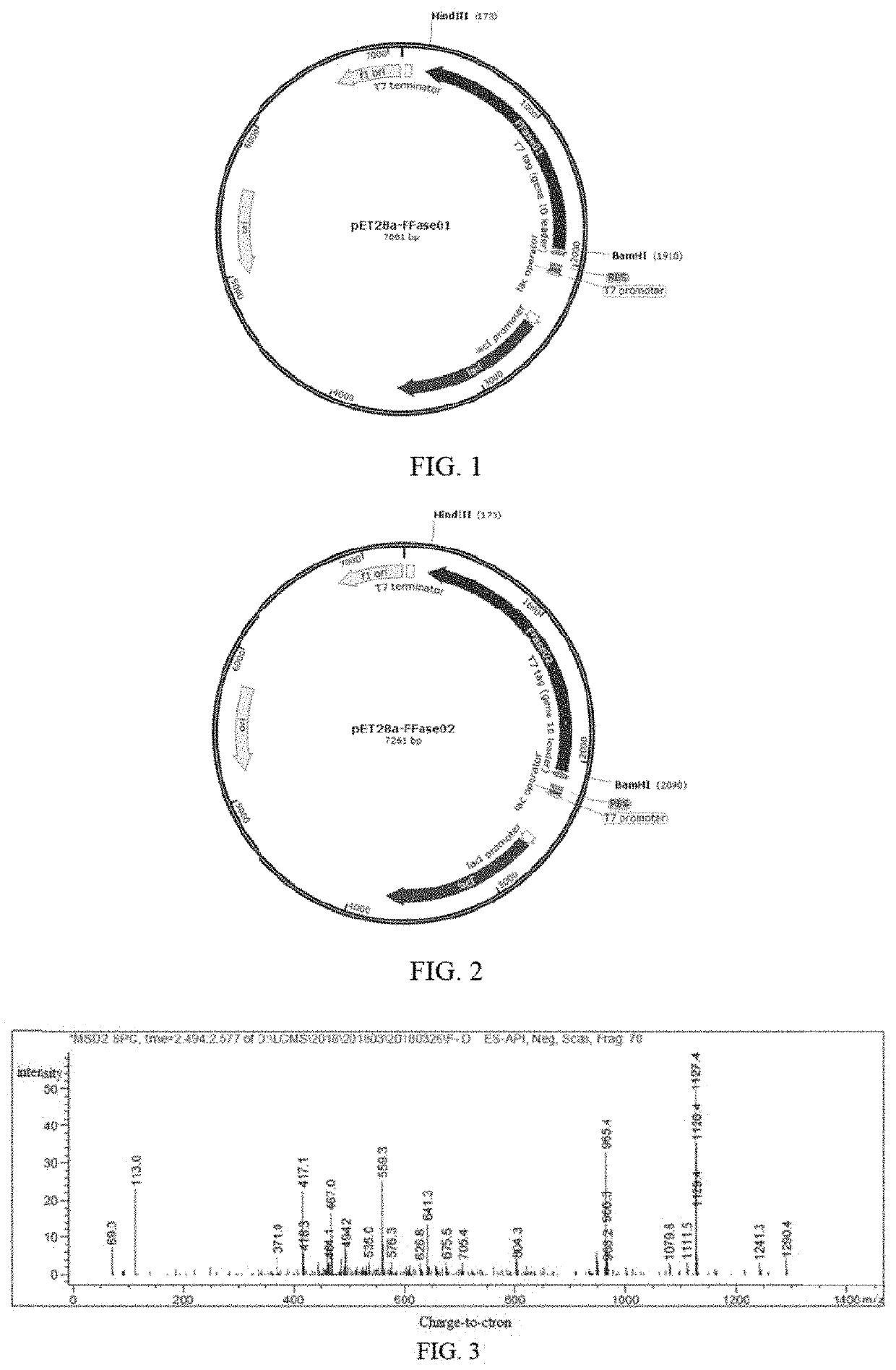 Method and enzyme for preparation of enzyme-modified stevia sugar and use of enzyme-modified stevia sugar