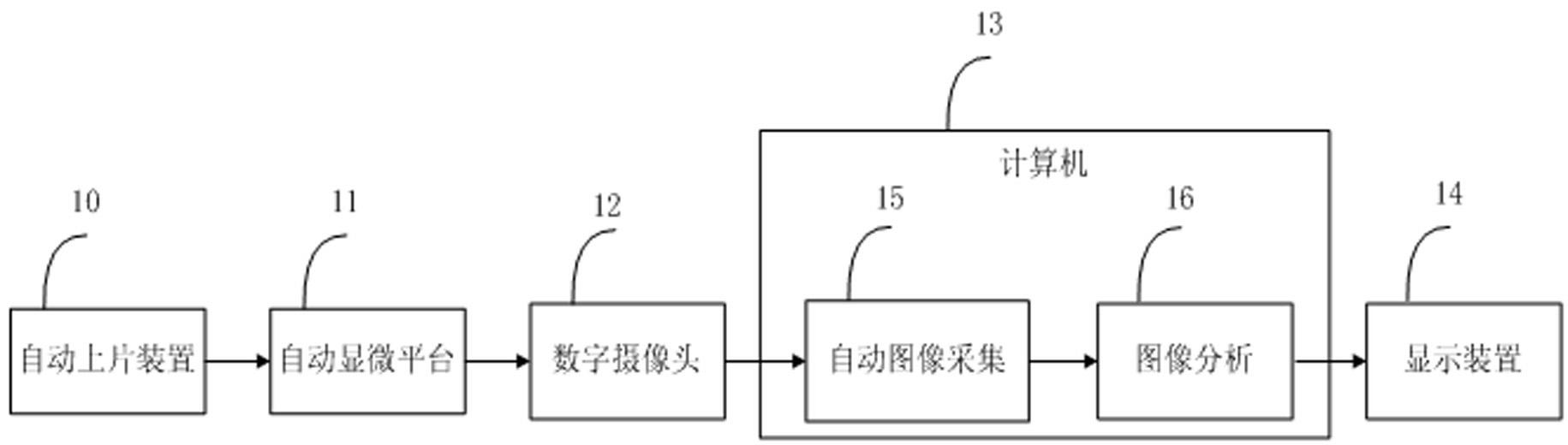 Automatic screening system and automatic screening method using thin-prep cytology test