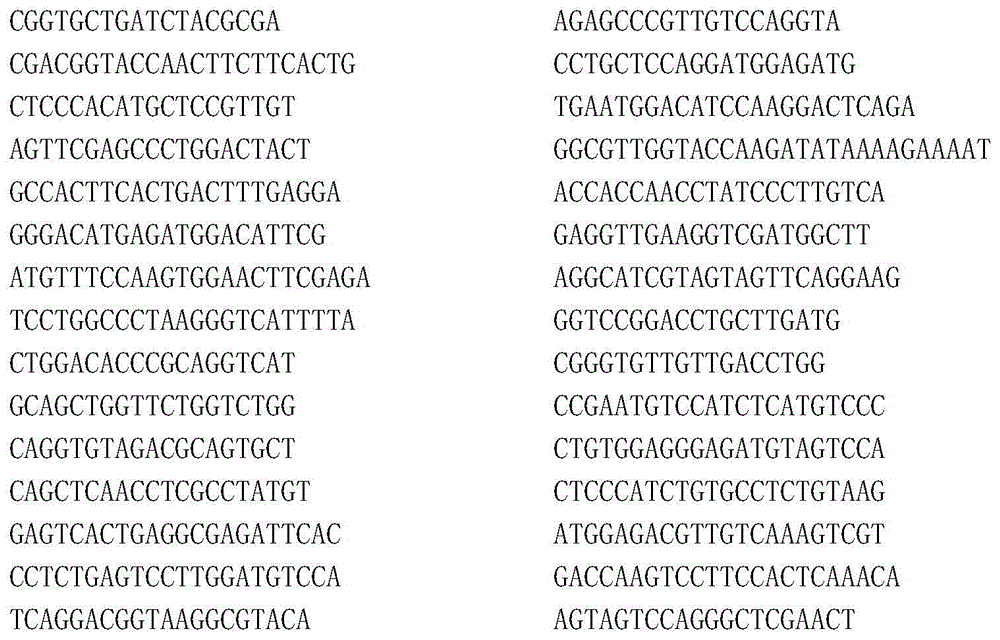 Primer composition for lysosomal disease gene screening and kit using the same