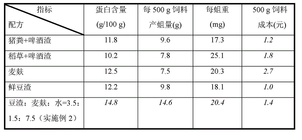 Fly maggot cultivating method using bean dregs