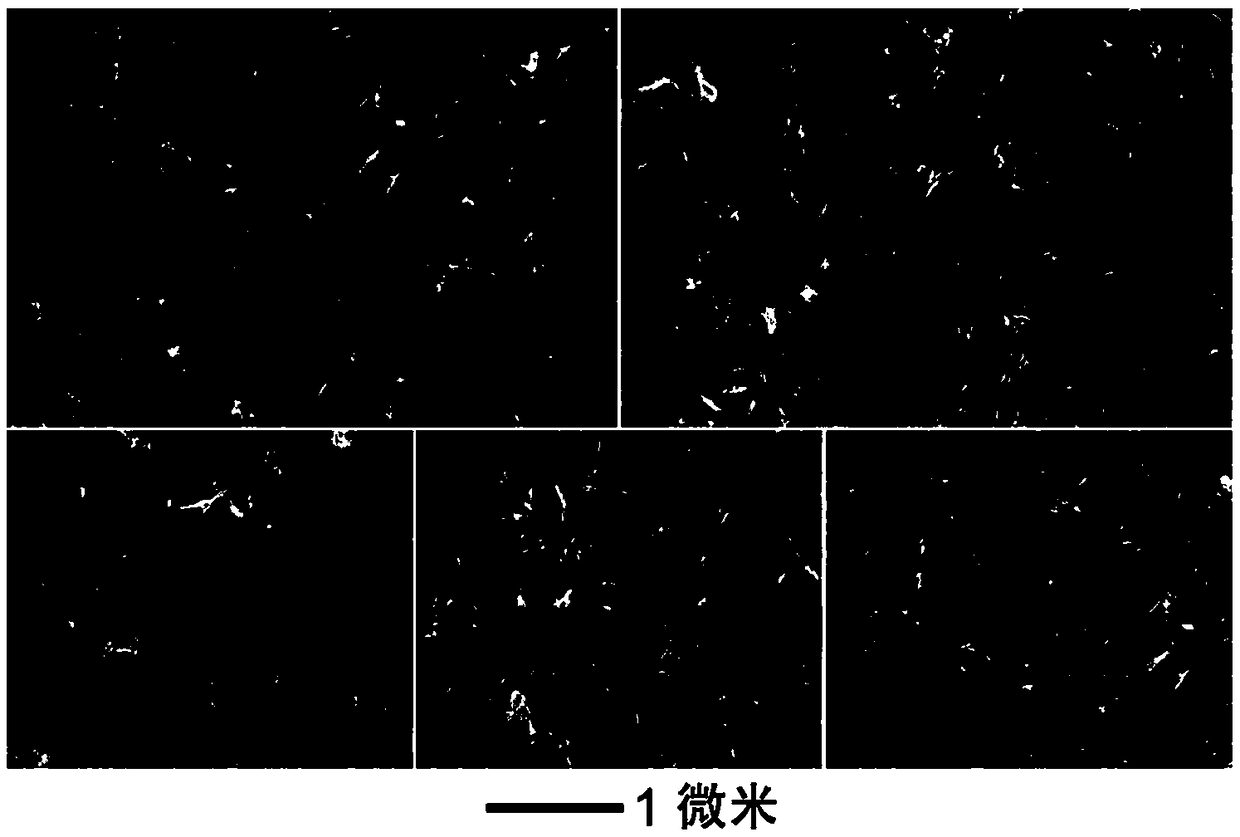 Cadmium-based chalcogenide nanorod, preparation method of nanorod, electrocatalyst and application