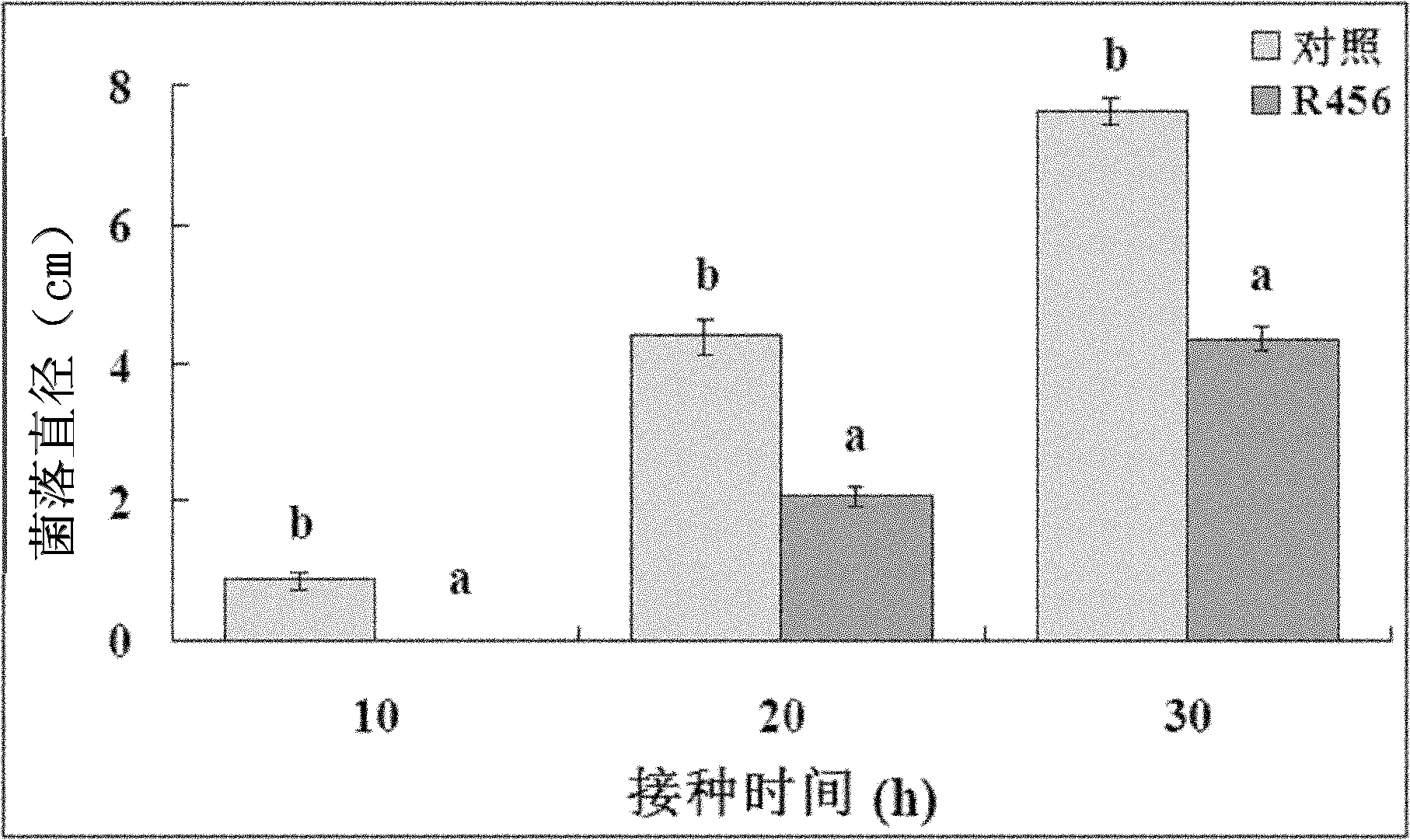 Rice rhizosphere burkholderia and application thereof in prevention and control of rice sheath blight disease