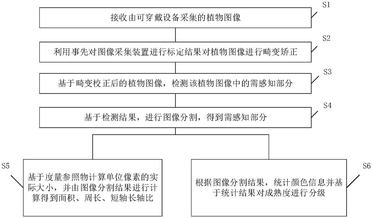 A wearable plant phenotype perception system