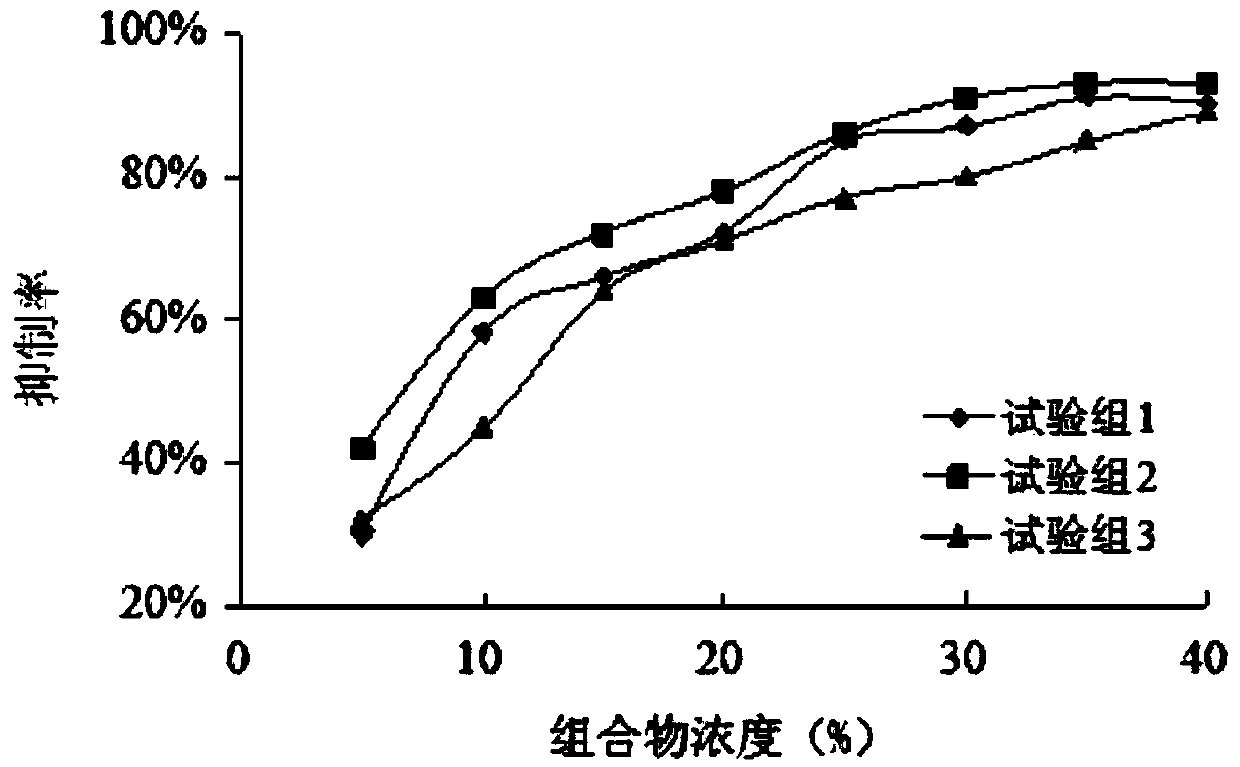 Composition with skin-whitening and anti-ageing effects, skin care product containing composition as well as preparation method and application of composition