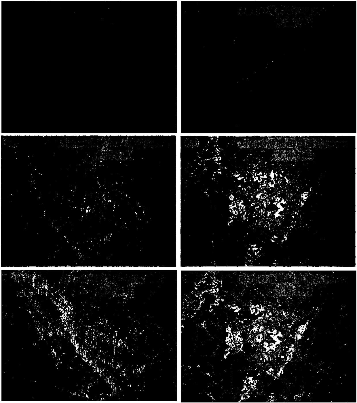 Textured substrate capable of enhancing electrical stability of flexible device in mechanical stress