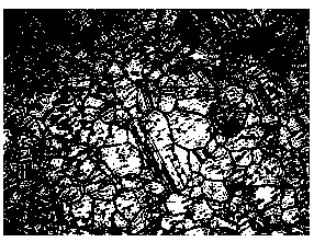 Metallographic corrosion solution and use method thereof