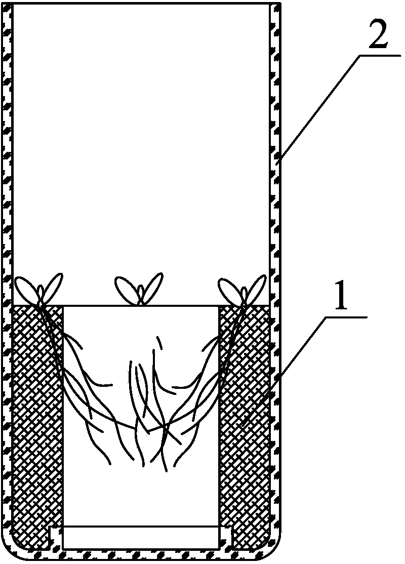 Method for promoting rooting of alfalfa tissue culture seedlings