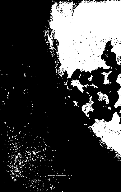 Process for preparing nanometer metal oxide powder by DC plasma method